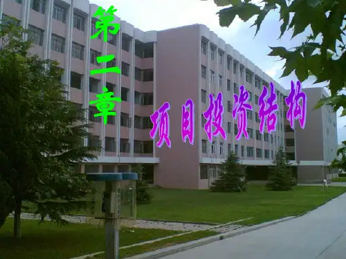 第二章项目融资中的投资结构