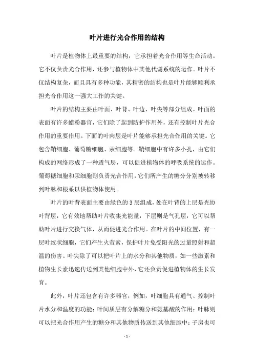 叶片进行光合作用的结构