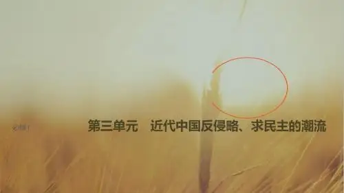 2019版高考历史一轮复习课件：必修1 第三单元近代中国