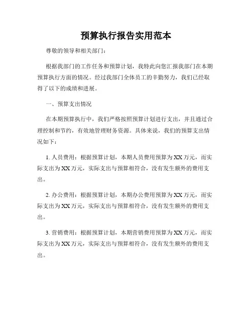 预算执行报告实用范本