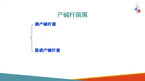 革兰阴性需氧和兼性厌氧性杆菌鉴定—产碱杆菌属(微生物检验课件)