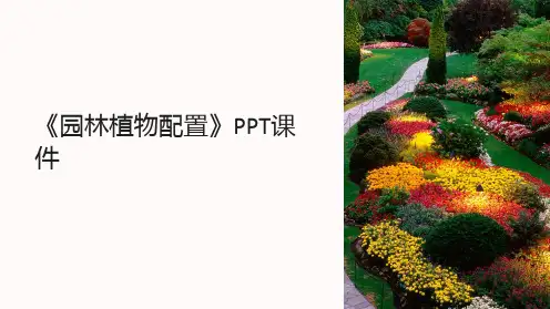 《园林植物配置》课件