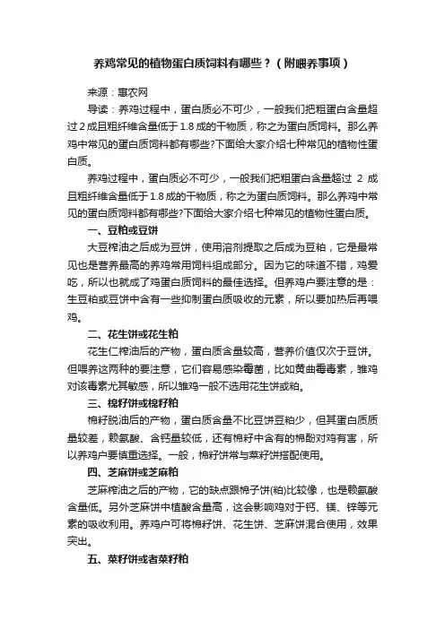 养鸡常见的植物蛋白质饲料有哪些？（附喂养事项）