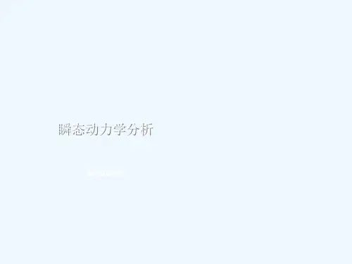 瞬态动力学