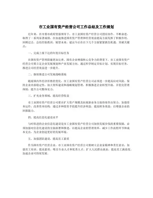市工业国有资产经营公司工作总结及工作规划