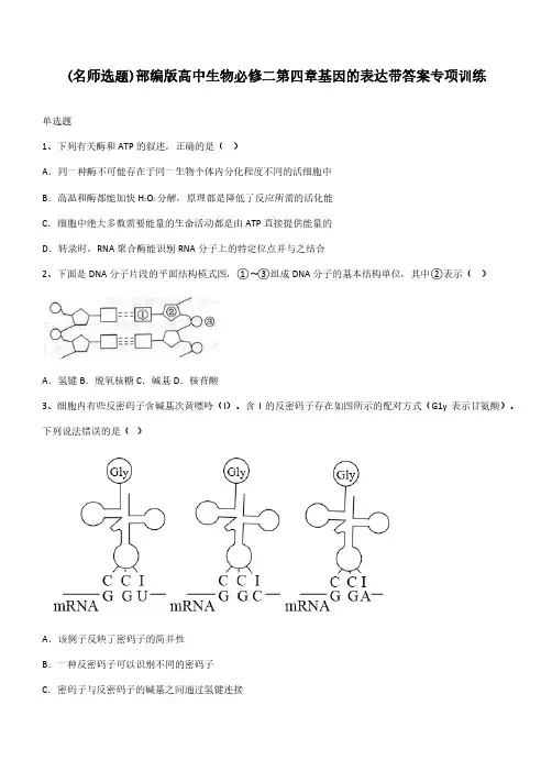 部编版高中生物必修二第四章基因的表达带答案专项训练