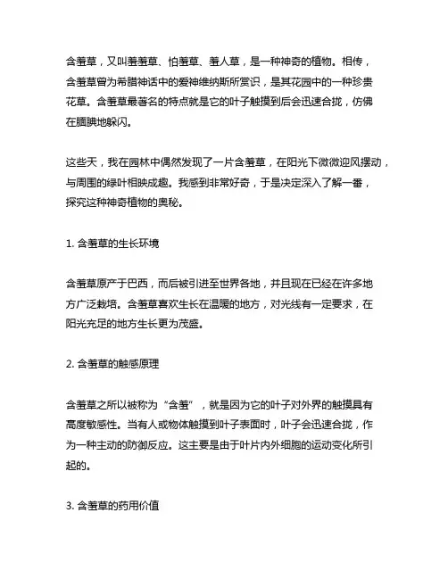 我发现了含羞草的奥秘300个字左右