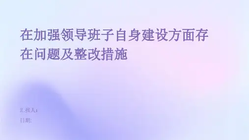 在加强领导班子自身建设方面存在问题及整改措施