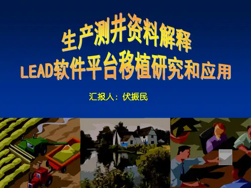 C生产测井资料解释LEAD软件平台-CPL