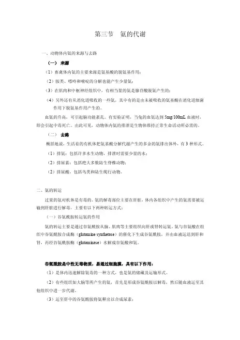 第三节氨的代谢