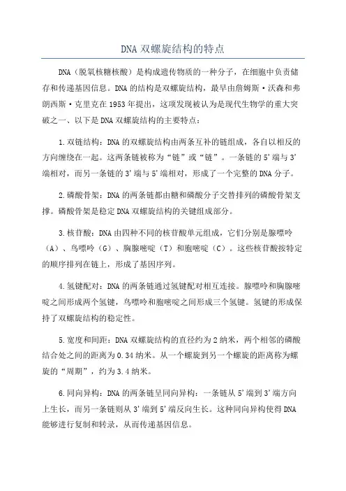 DNA双螺旋结构的特点