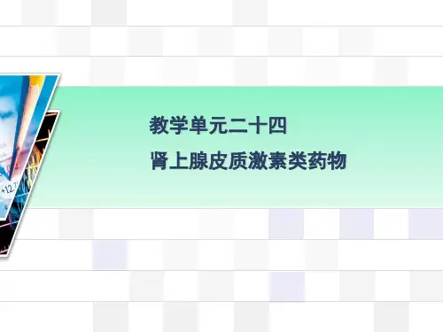 内分泌系统药物