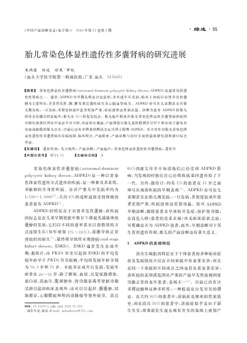 胎儿常染色体显性遗传性多囊肾病的研究进展