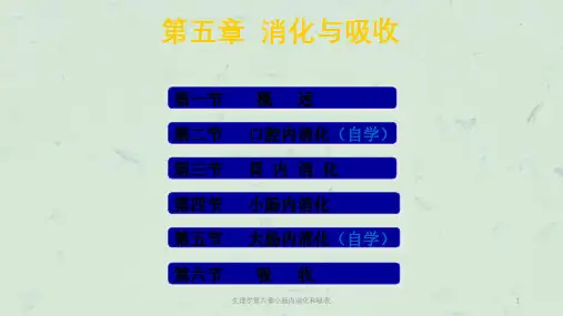 生理学第六章小肠内消化和吸收课件