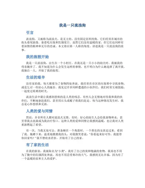 我是一只流浪狗作文