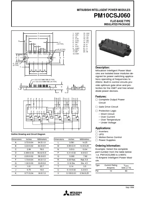PM10CSJ060中文资料
