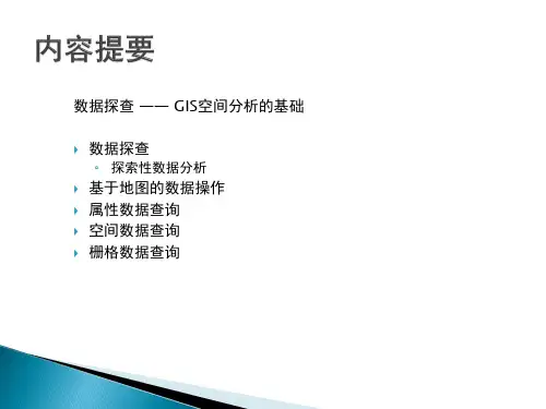 第十章数据探查ppt课件