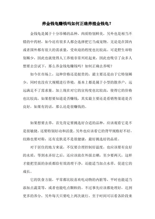 养金钱龟赚钱吗 如何正确养殖金钱龟？