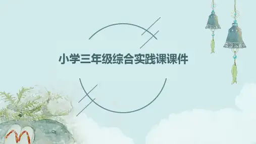 小学三年级综合实践课课件