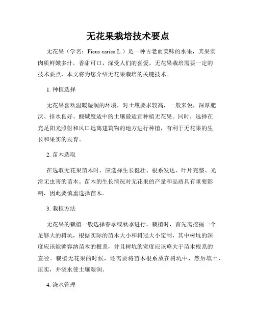 无花果栽培技术要点