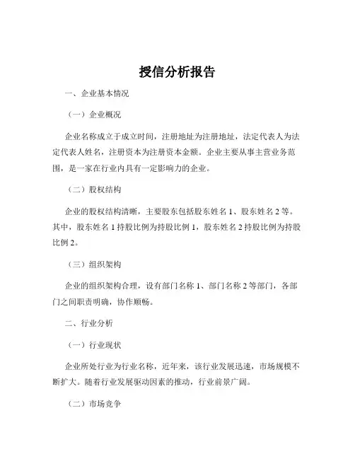 授信分析报告
