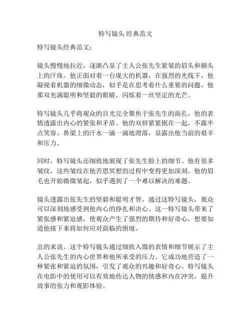 特写镜头 经典范文