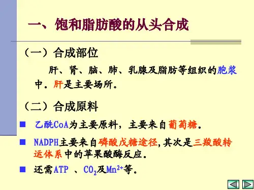 脂肪代谢合成课件