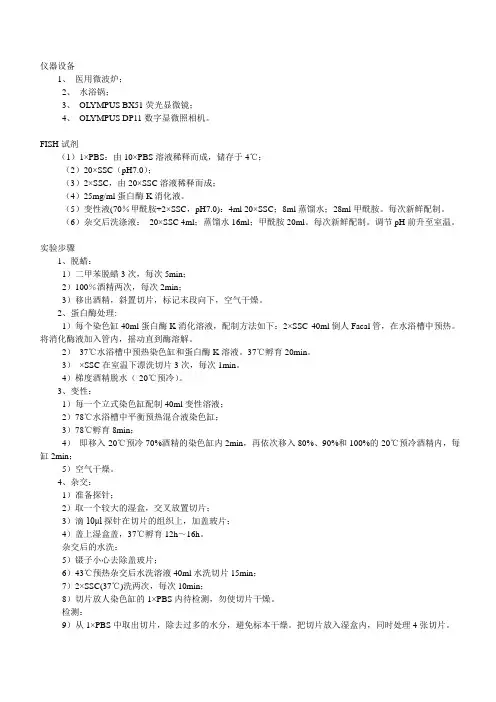 荧光原位杂交(FISH)实验步骤