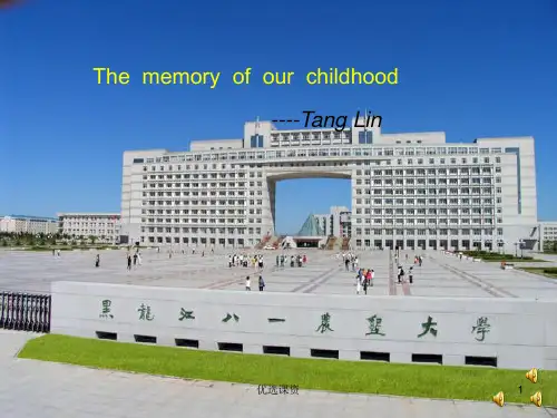 童年回忆的ppt(讲课适用)