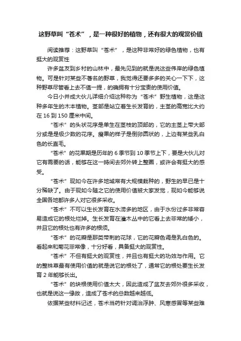 这野草叫“苍术”，是一种很好的植物，还有很大的观赏价值