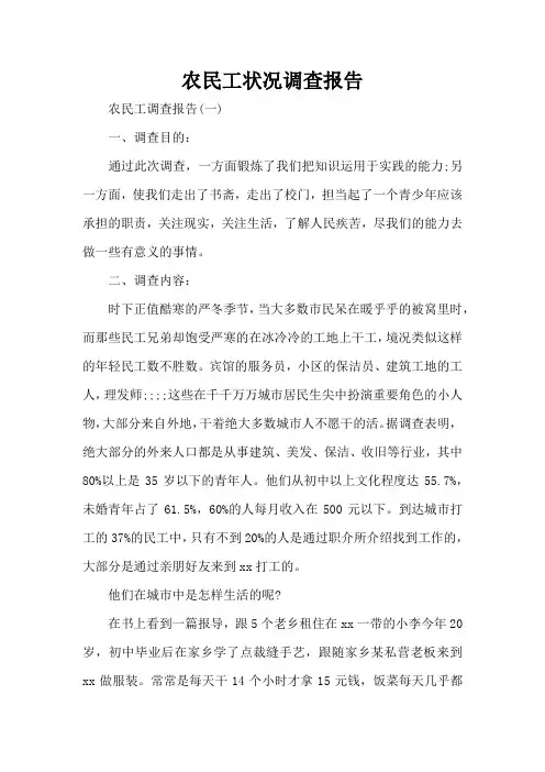 农民工状况调查报告(标准版)