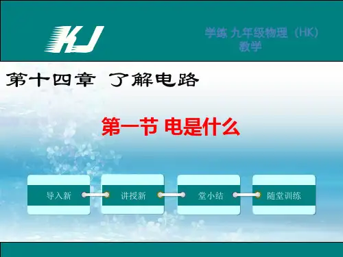 新沪科版初中物理九年级上册精品课件第一节 电是什么