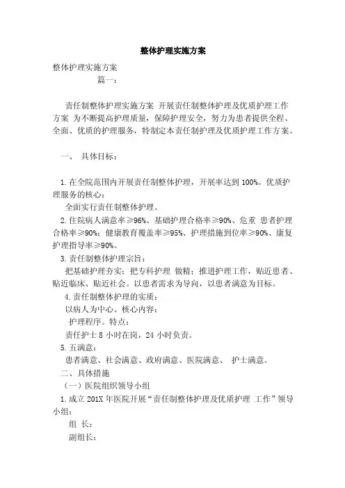 整体护理实施方案