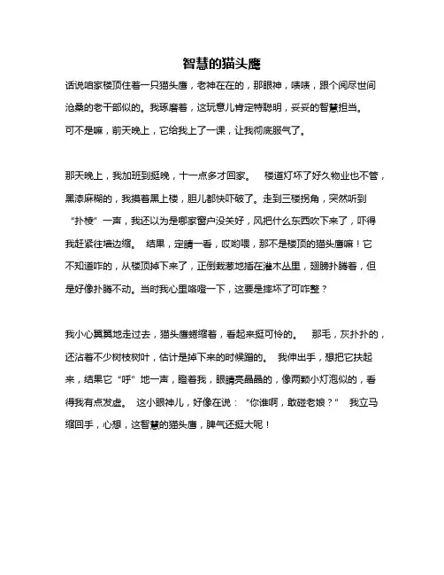 作文《智慧的猫头鹰》