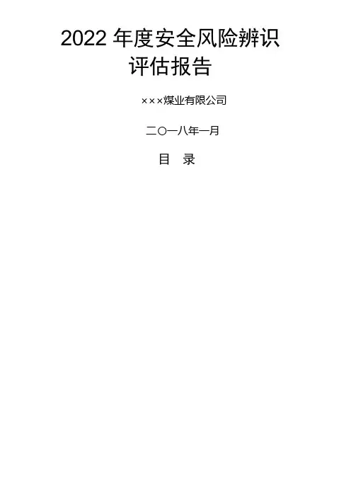 安全风险辨识评估报告 