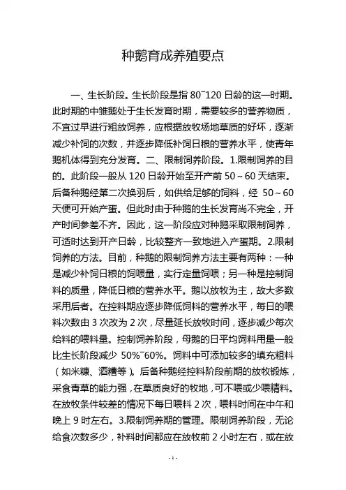 种鹅育成养殖要点