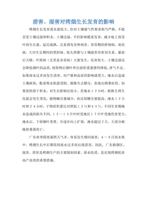 涝害、湿害对烤烟生长发育的影响