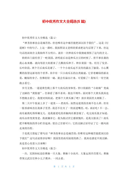 初中优秀作文大全精选(5篇)