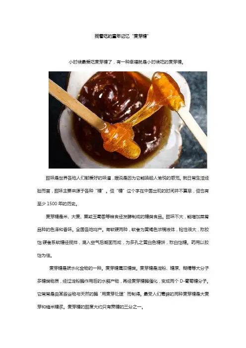 ATAGO(爱拓)Smart-1 全自动折射仪,检测麦芽糖糖度