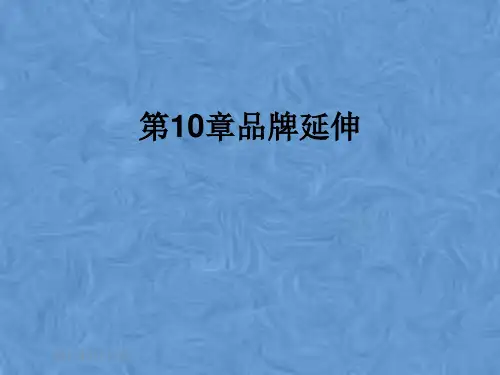第10章品牌延伸