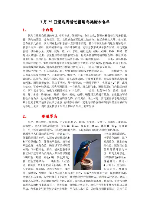 鸟类学习资料