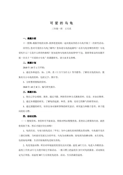 龟的研究(王天禾)