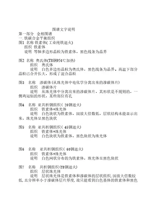 金相图谱内容说明
