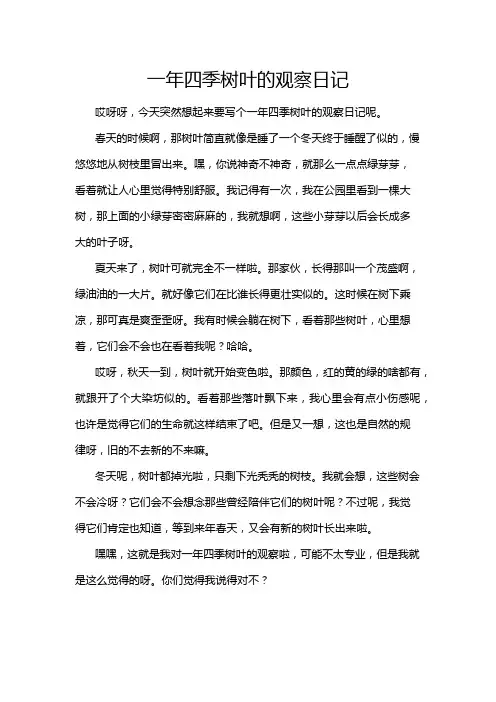 一年四季树叶的观察日记