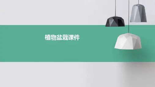 植物盆栽课件ppt