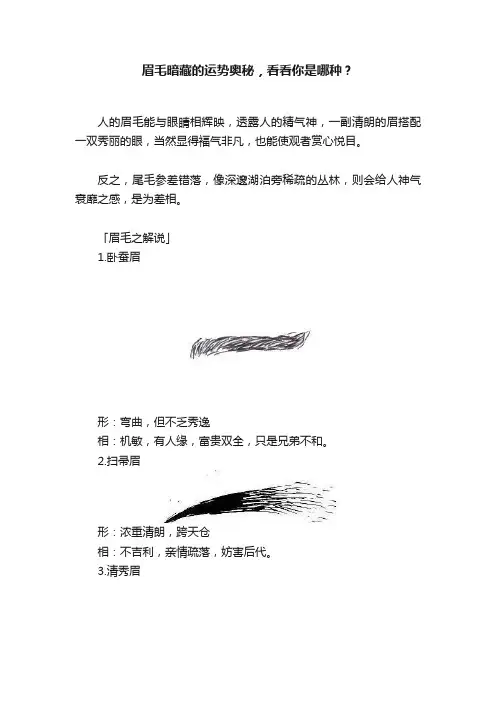 眉毛暗藏的运势奥秘，看看你是哪种？