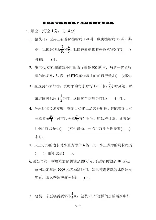 青岛版六年级数学上册期末综合测试卷附答案
