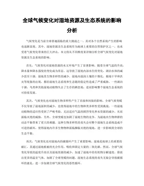 全球气候变化对湿地资源及生态系统的影响分析