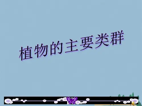 植物的主要类群(共41张PPT)