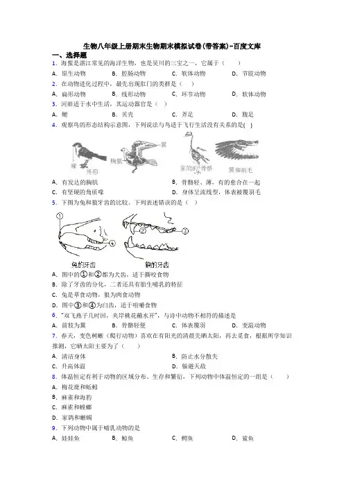 生物八年级上册期末生物期末模拟试卷(带答案)-百度文库